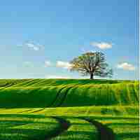 算‍法﻿的﻿分﻿析‌